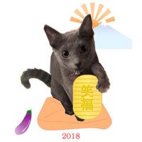 年賀状2018（猫）