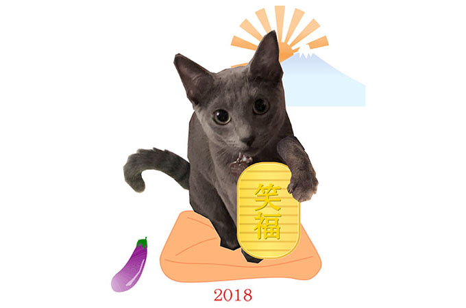 年賀状2018（猫）